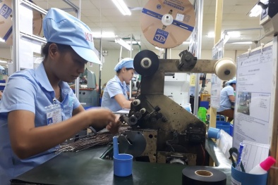 Nâng cao năng suất chất lượng: Kinh nghiệm thực tiễn từ các mô hình điểm