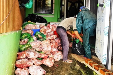Lâm Đồng: Phạt cơ sở trữ 8 tấn thịt heo “bẩn” hơn 100 triệu đồng