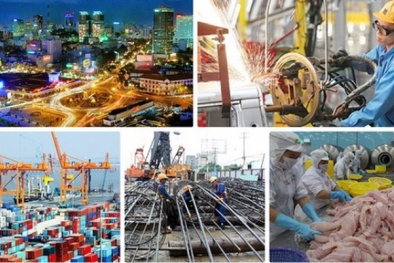 Hiệu quả của công cụ cải tiến năng suất chất lượng cho doanh nghiệp Việt