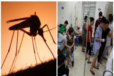 Có thể tử vong nếu tự ý dùng các loại thuốc này điều trị sốt xuất huyết tại nhà