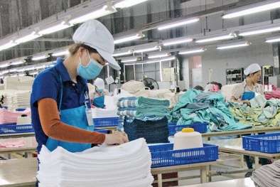 Thúc đẩy cải cách môi trường kinh doanh