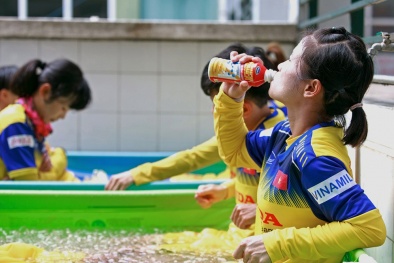 Bật mí dinh dưỡng vàng cùng đội tuyển bóng đá nữ quốc gia giành cúp vô địch Đông Nam Á 2019