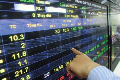 Phạt CTCP xuất nhập khẩu thủy sản An Giang do công bố thông tin không đúng thời hạn