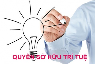 Đề nghị xây dựng Luật sửa đổi, bổ sung Luật Sở hữu trí tuệ