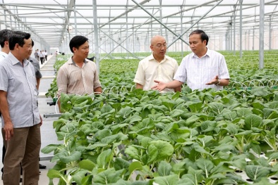 Kiên Giang: Ứng dụng khoa học công nghệ - giải pháp thúc đẩy tăng trưởng