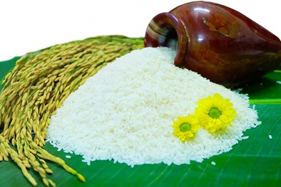 Công nghệ sẽ là 'chìa khóa' nâng cao năng suất, chất lượng lúa gạo Việt Nam
