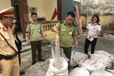 Chặn đứng hành vi thu gom lòng lợn non hôi thối về bán cho các cơ sở làm vỏ lạp sườn