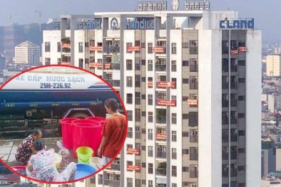 Lùm xùm tại tòa nhà CT3 C’Land: Chủ đầu tư nói gì?