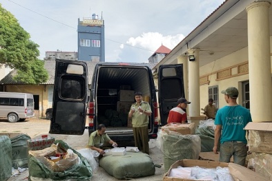 Nhập lậu gần 500 chiếc kính thời trang giả nhãn hiệu nổi tiếng về Việt Nam bán kiếm lời