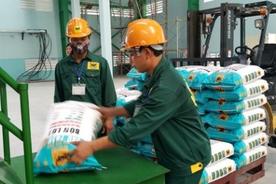 Vì sao ‘ông lớn’ Tập đoàn Hóa chất Việt Nam bị phong tỏa loạt tài sản trăm tỷ?