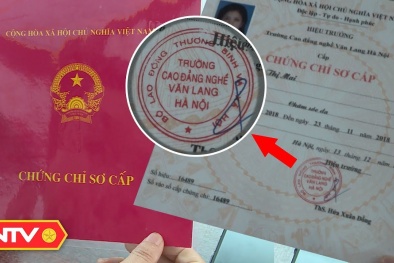 Chứng chỉ hành nghề spa thẩm mỹ thật giả lẫn lộn