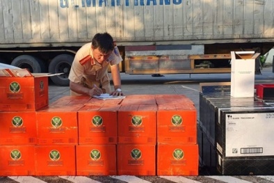 Bình Thuận: Phát hiện 744 chai rượu ngoại không giấy tờ