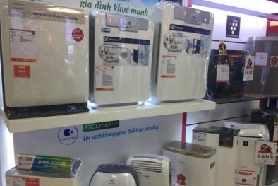 Sự thật gây sốc về những chiếc máy lọc không khí nhiều người đã và đang sử dụng