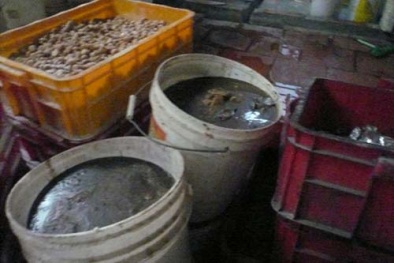 Đột kích cơ sở sản xuất socola siêu bẩn