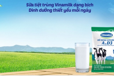 Sữa bịch Vinamilk - Cung cấp nguồn dinh dưỡng thiết yếu mỗi ngày