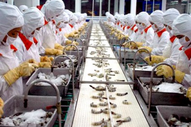 Kinh nghiệm áp dụng thành công công cụ lý chất lượng tại hải sản Hiệp Anh