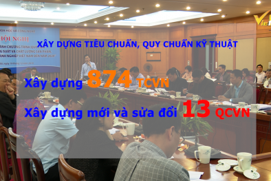 Những điểm nổi bật của Chương trình Nâng cao NSCL trong năm 2019