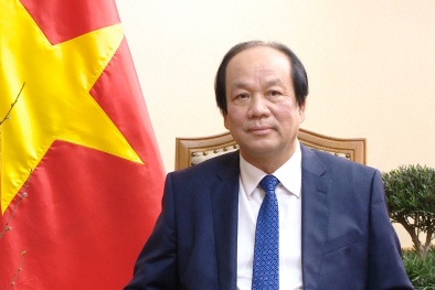 Tiếp tục tạo động lực cho tinh thần cải cách năm 2020