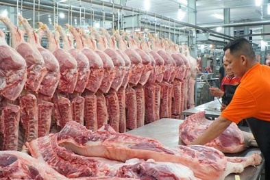 Nhiều doanh nghiệp chăn nuôi bắt đầu giảm giá thịt lợn