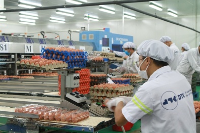 Doanh nghiệp tiết kiệm chi phí và thời gian nhờ áp dụng 52 quy trình chuẩn ISO 22000