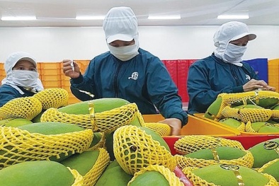 Xuất khẩu nông sản đạt 3 tỷ USD
