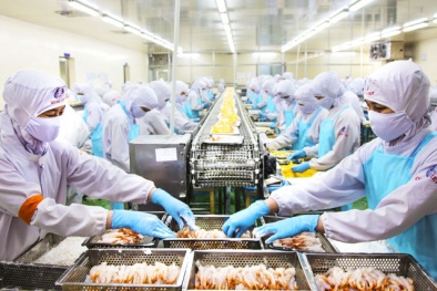 Nhiều ngân hàng giảm lãi suất cho doanh nghiệp bị ảnh hưởng dịch crona