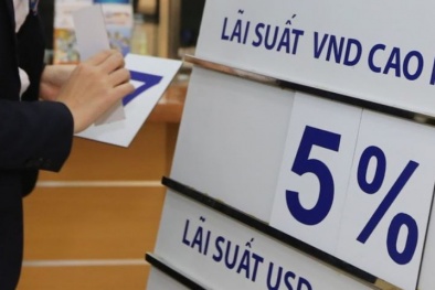 Gửi tiết kiệm kì hạn 12 tháng nên gửi ngân hàng nào để hưởng mức lãi suất cao nhất?