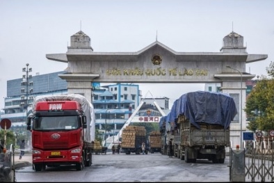 Xuất nhập khẩu hàng hóa qua cửa khẩu Lào Cai, Lạng Sơn tiếp tục tăng mạnh