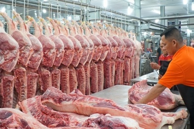 Nhiều doanh nghiệp chăn nuôi giảm giá thịt lợn