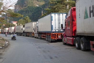 Nông sản ùn ứ tại cửa khẩu: Khuyến nghị nông dân điều tiết sản lượng