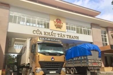 Hỗ trợ doanh nghiệp, nông dân gặp khó khăn do dịch bệnh Covid-19