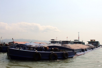 Tạm giữ 6000 tấn than không rõ nguồn gốc