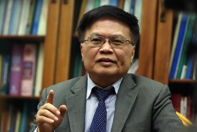 TS. Nguyễn Đình Cung: 'Cần tìm những khu vực tăng trưởng khác để bù đắp thiệt hại của Covid-19'