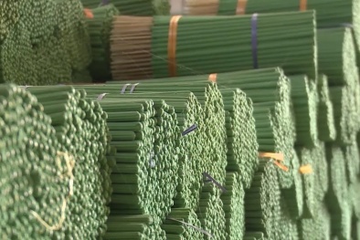 Nông sản Việt thích ứng rào cản kỹ thuật trong FTA