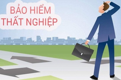 Các chính sách bảo hiểm tốt nhất dành cho lao động thất nghiệp mùa dịch Covid19