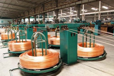CADI-SUN khẳng định vị thế nhờ đổi mới công nghệ