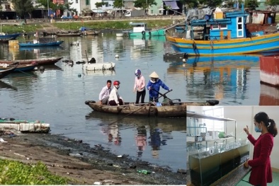 Nghiên cứu thành công chế phẩm vi sinh phổ rộng để xử lý ô nhiễm hữu cơ