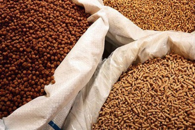 Chính thức kết nối một thủ tục hành chính của Bộ NN&PTNT trên Cơ chế một cửa quốc gia