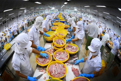 'Siết' tiêu chuẩn, chất lượng: Áp lực giúp doanh nghiệp thay đổi và lớn mạnh