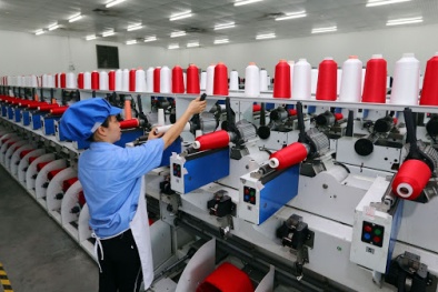 Tổng cục TCĐLCL đẩy mạnh hỗ trợ doanh nghiệp vượt qua rào cản khi tham gia vào các FTA