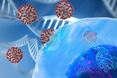 Phát hiện thêm biến chứng nguy hiểm do virus corona để lại