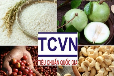 Hệ thống tiêu chuẩn quốc gia: Giúp hàng Việt cạnh tranh trên mọi 'mặt trận'