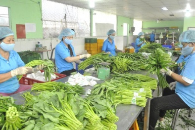 Nông sản xuất siêu gần 2,8 tỷ USD