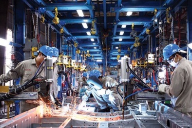 Doanh nghiệp chủ động tìm giải pháp phục hồi