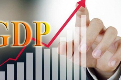 Việt Nam là 1 trong số ít nước tăng trưởng GDP dương