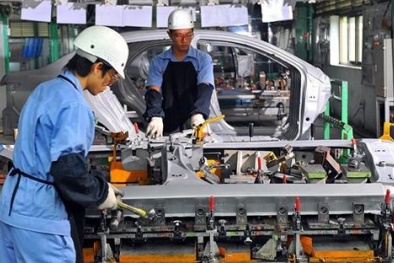 Hai công ty xuất khẩu lao động bị phạt hơn 100 triệu đồng