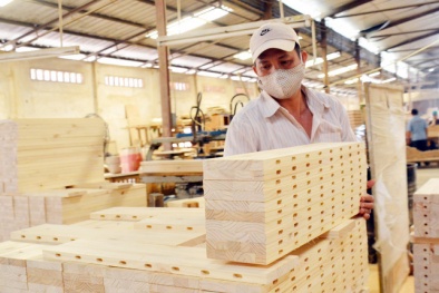 Bộ Công Thương đề nghị hủy điều tra với cáo buộc gỗ dán Việt Nam bán phá giá