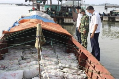Quảng Ninh: Phát hiện, tiêu hủy gần 16 tấn thực phẩm bẩn