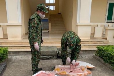 Liên tiếp thu giữ nhiều nầm lợn nhập lậu tại Lạng Sơn