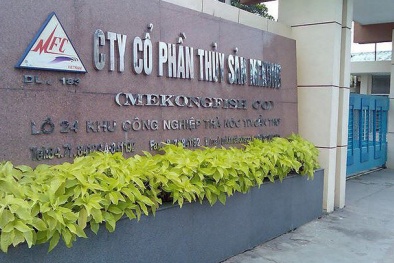 Vì sao Thủy sản Mekong bị phạt 70 triệu đồng?